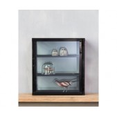 Glass Collectable Display Cabinet